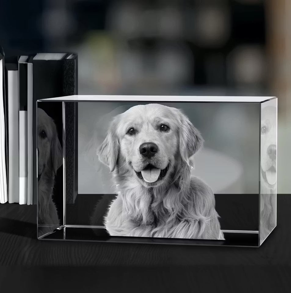 Rektangulær krystallkube lasergravert med portrettbilde av en golden retriever-hund, stående på en bokhylle